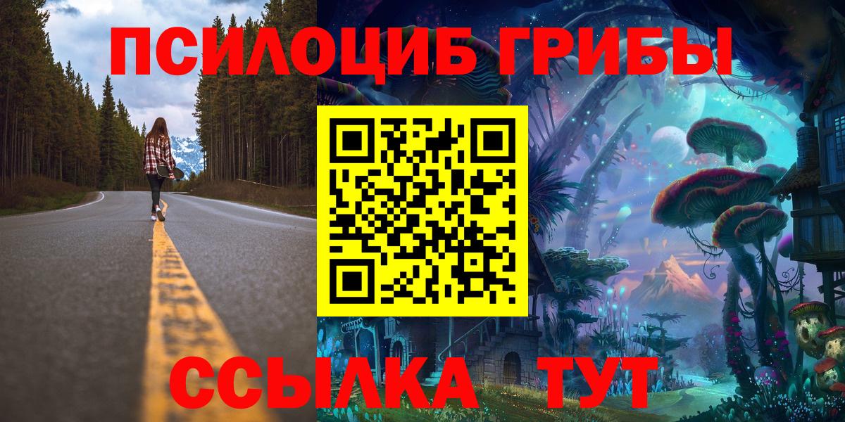 Псилоцибиновые грибы мицелий Альметьевск