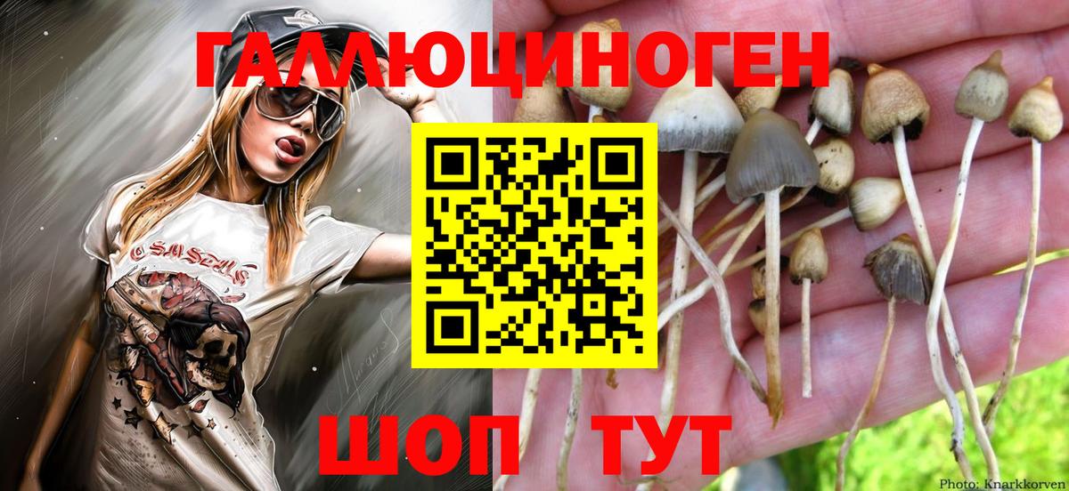 Галлюциногенные грибы GOLDEN TEACHER  Вход с VPN  Альметьевск 